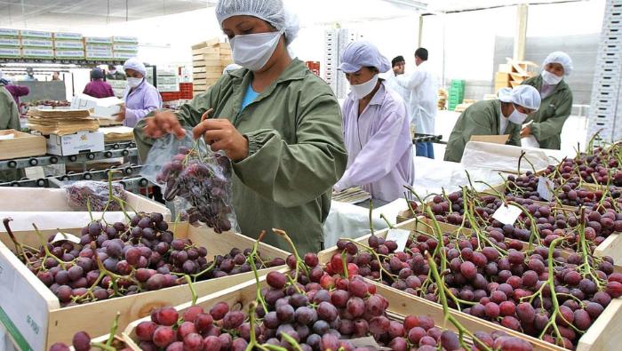 • Las exportaciones agrarias siguen al alza, logrando un crecimiento del 7.5% en comparación al mismo período del año pasado.
