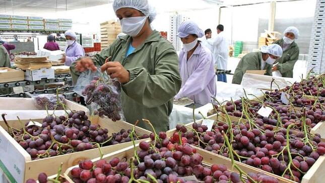 •	Las exportaciones agrarias siguen al alza, logrando un crecimiento del 7.5% en comparación al mismo período del año pasado. 