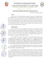 Vista preliminar de documento RGM-N260-2024-MDCV-GM