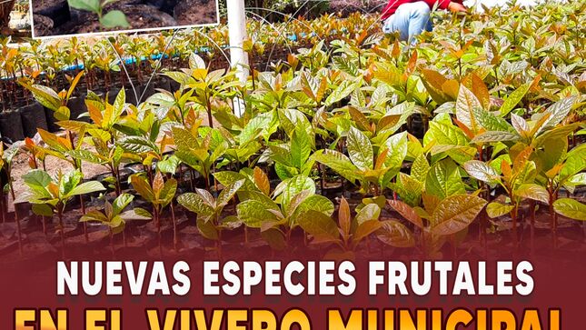 Nuevas especies frutales en el Vivero Municipal