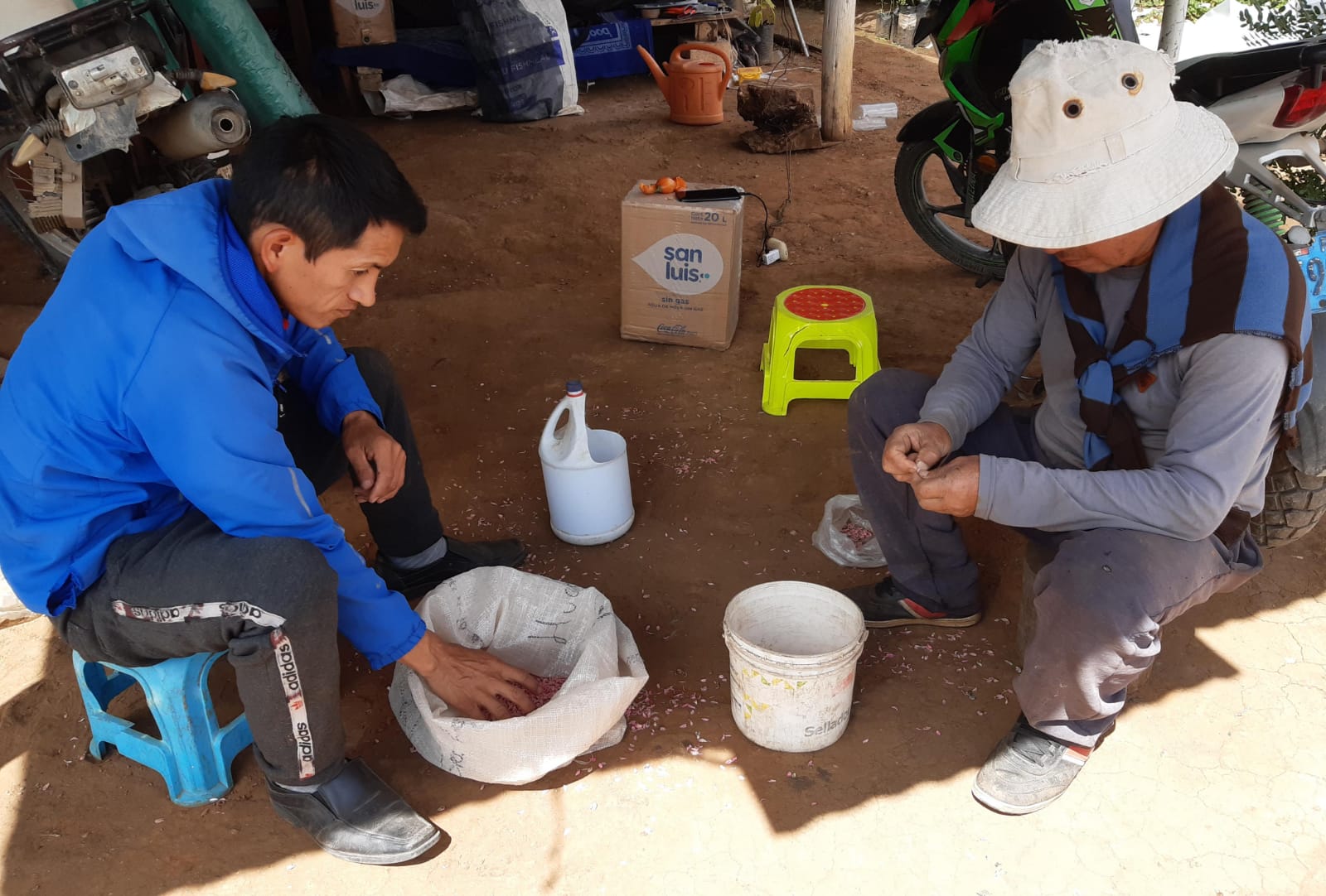 Nuevas especies frutales en el Vivero Municipal