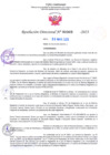 Vista preliminar de documento RD Nº000909 06-03-202307092023100154