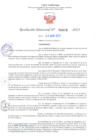 Vista preliminar de documento RD Nº000910 06-03-2023