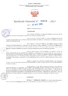 Vista preliminar de documento RD Nº000916 06-03-2023