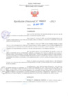Vista preliminar de documento RD Nº000919 06-03-2023