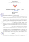 Vista preliminar de documento RD Nº000921 06-03-2023
