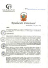 Vista preliminar de documento RD N°223-06-2024-DE-HCLLH-MINSA