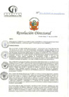 Vista preliminar de documento RD N°225-06-2024-DE-HCLLH-MINSA