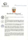 Vista preliminar de documento RD N°226-06-2024-DE-HCLLH-MINSA