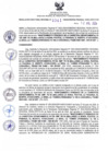 Vista preliminar de documento RDR N° 341-2024-12-07-2024