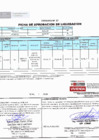 Vista preliminar de documento 256.1. ANEXO 1 - RD N° 256-2024-PNVR Informe de liquidación final