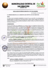 Vista preliminar de documento RGM-107-2024-MDSS