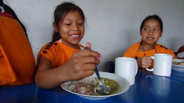 Desayunos escolares
