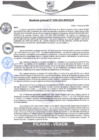 Vista preliminar de documento rgm298