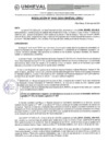 Vista preliminar de documento RESOLUCIÓN N° 0142-2024-UNHEVAL-URHJ