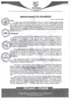 Vista preliminar de documento rgm310