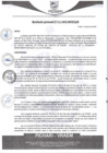 Vista preliminar de documento rgm311