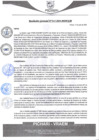 Vista preliminar de documento rgm315