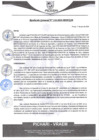 Vista preliminar de documento rgm316