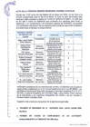 Vista preliminar de documento acta sesion