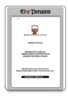 Vista preliminar de documento Instructivo PP N° 001-2010-EF