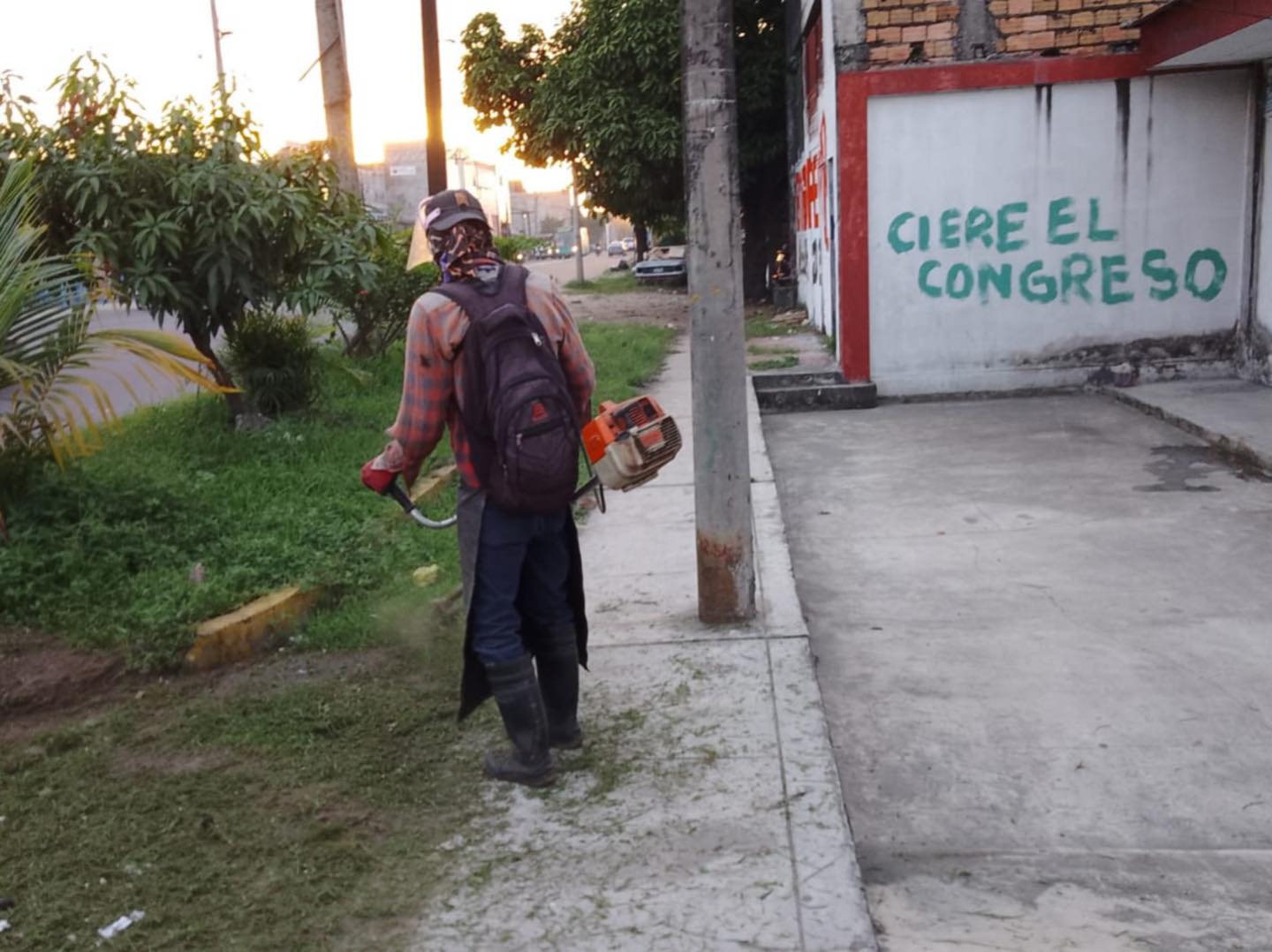 Limpieza y poda en las áreas verdes de la Avenida Quiñones.