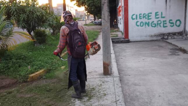 Limpieza y poda en las áreas verdes de la Avenida Quiñones. 