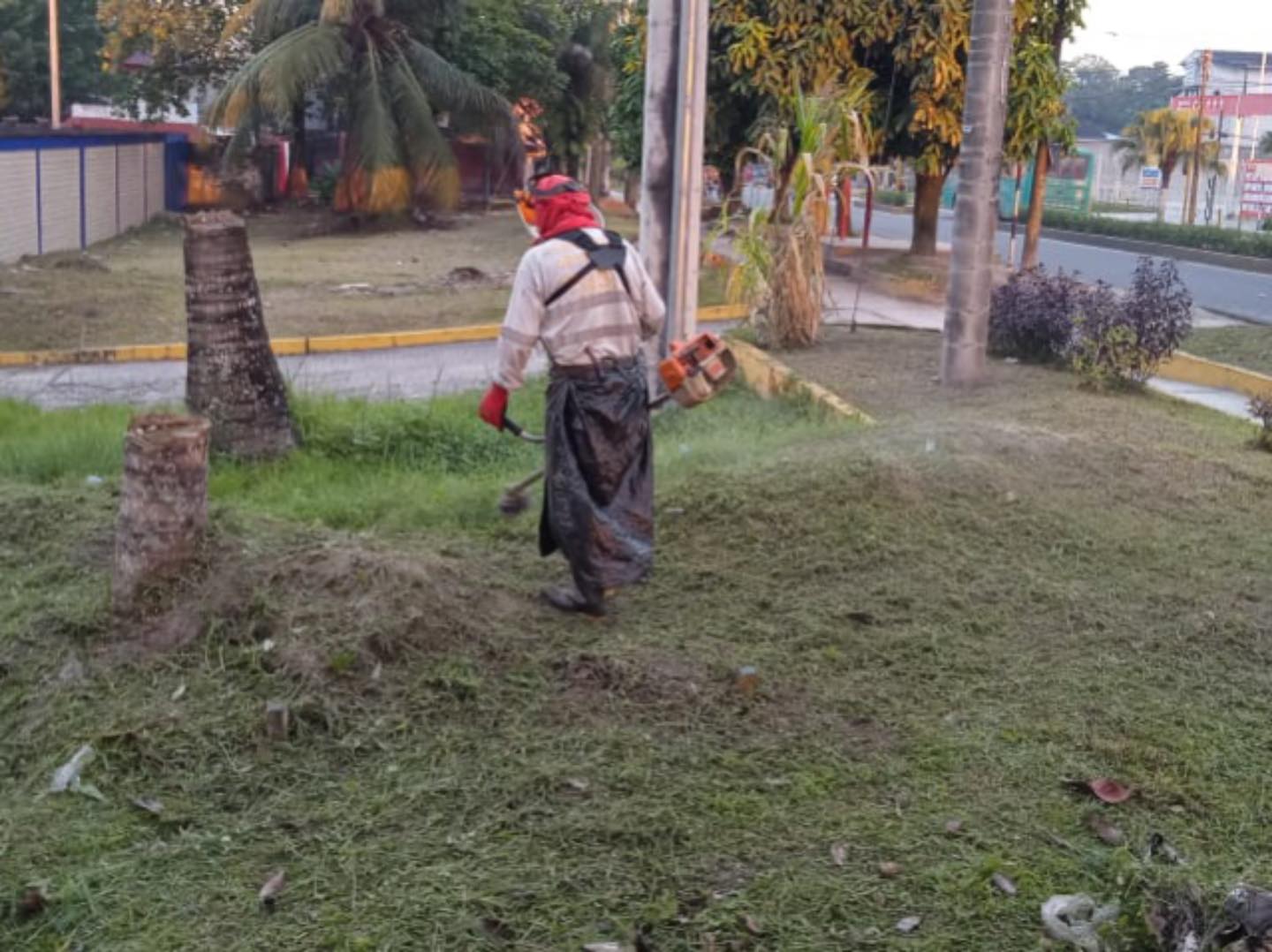 Limpieza y poda en las áreas verdes de la Avenida Quiñones.
