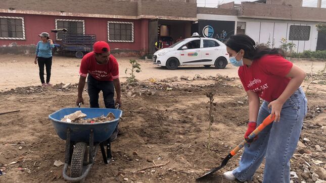 ARBORIZACIÓN CIUDAD DEL CHOFER 4