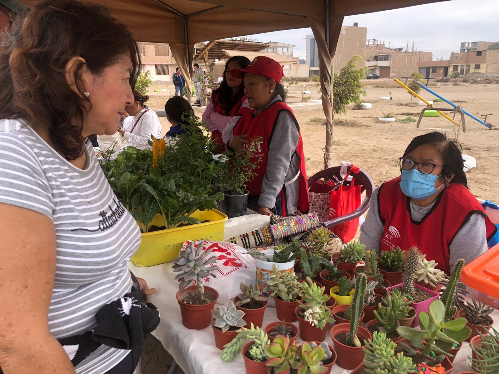 CAMPAÑA DE ARORIZACIÓN VENTA DE PLANTAS ORNAMENTALES 2