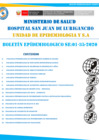 Vista preliminar de documento Boletín Epidemiológico - Agosto 2020