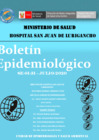 Vista preliminar de documento Boletín Epidemiológico - Julio 2020