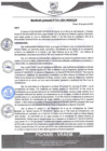 Vista preliminar de documento rgm341
