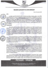 Vista preliminar de documento rgm343