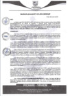 Vista preliminar de documento rgm345