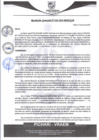 Vista preliminar de documento rgm348