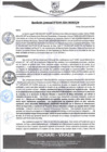 Vista preliminar de documento rgm349