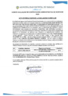 Vista preliminar de documento RESULTADOS_EVALUACION CURRICULAR_ CAS N°038-2024-MDP
