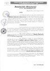 Vista preliminar de documento DR-119-2024-GRSM-DRTC-DTT