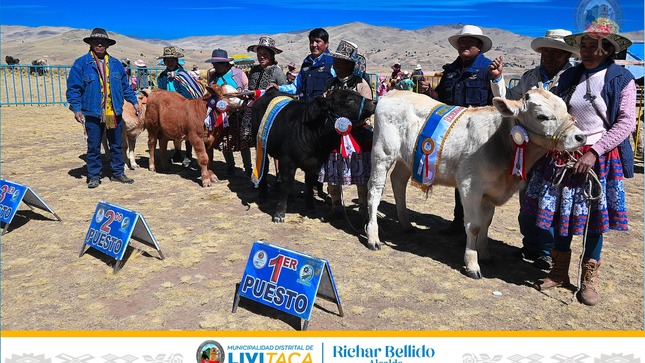 Presentación de crías nacidas por inseminación artificial en feria de Chusñapata
