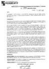 Vista preliminar de documento rgpeyt222595