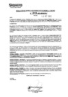 Vista preliminar de documento rgpeyt222618