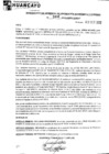 Vista preliminar de documento rgpeyt222806