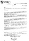 Vista preliminar de documento rgpeyt222808