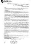 Vista preliminar de documento rgpeyt222814