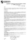 Vista preliminar de documento rgpeyt222908