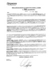 Vista preliminar de documento rgpeyt222931