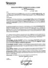 Vista preliminar de documento rgpeyt222946