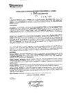 Vista preliminar de documento rgpeyt222948