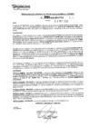 Vista preliminar de documento rgpeyt222956